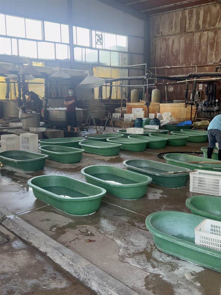 Washing hall with processing tubs