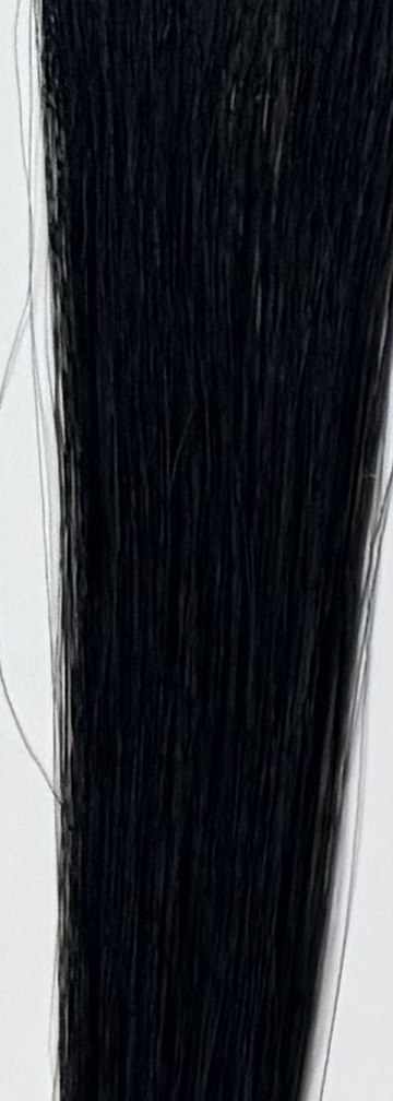 Color 1 hair swatch