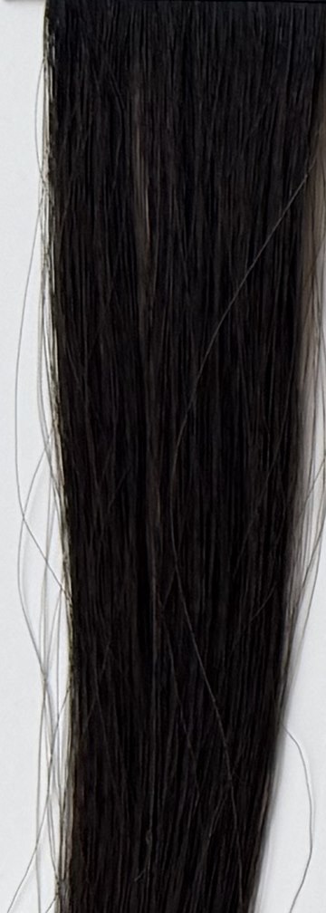 Color 1B hair swatch