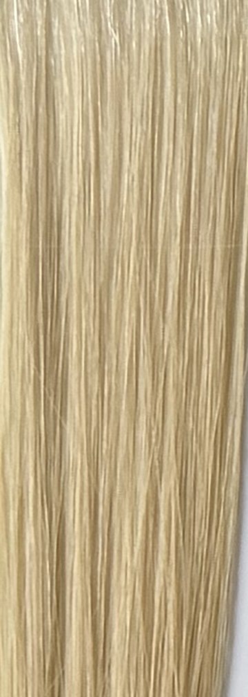 Color 24A hair swatch