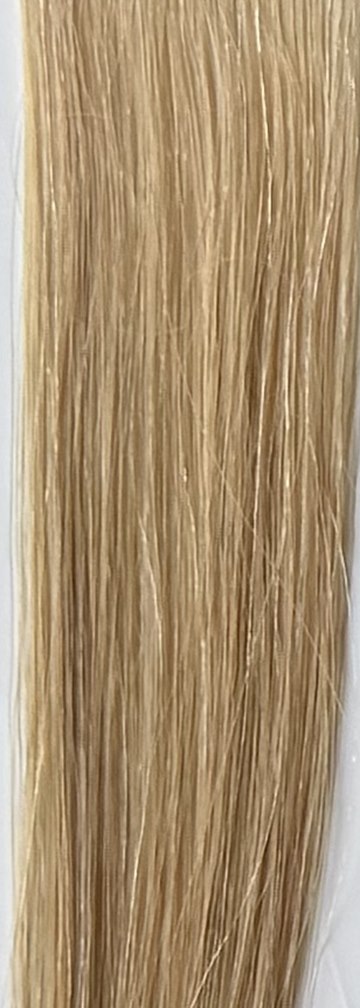 Color 27 hair swatch