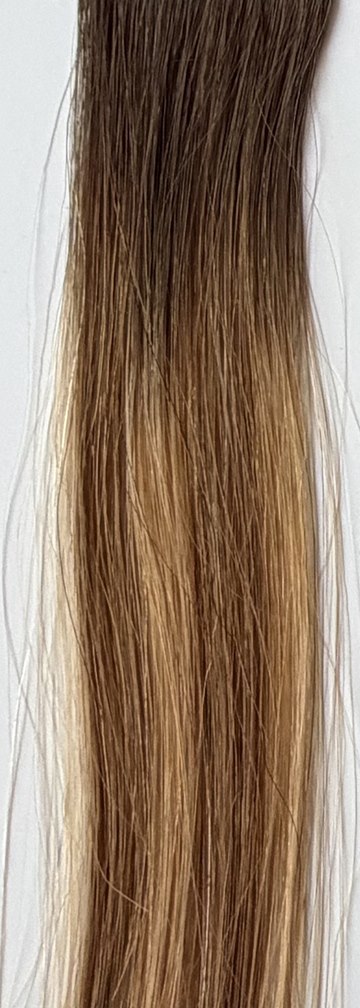 Color B3/6/20 hair swatch